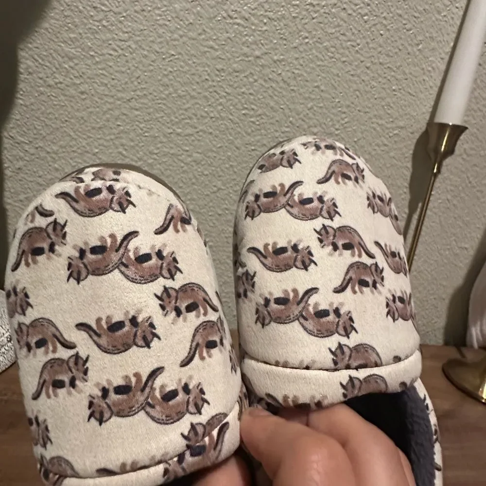 Carter's Boys Dinosaur Theme Slippers Size 9/10
